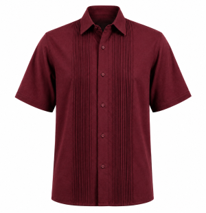 camisa plisado 01 CAMISA PLIZADA MANGA CORTA