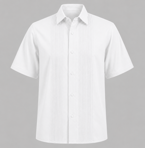 camisa plisado 03 PLACED SHORT SLEEVE SHIRT