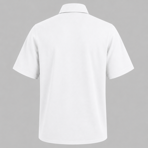 camisa plisado 04 PLACED SHORT SLEEVE SHIRT