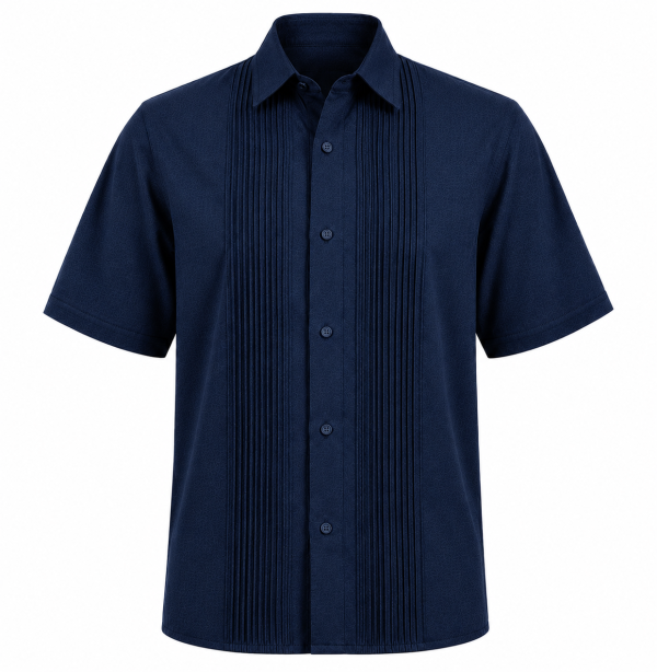 camisa plisado 11 PLACED SHORT SLEEVE SHIRT